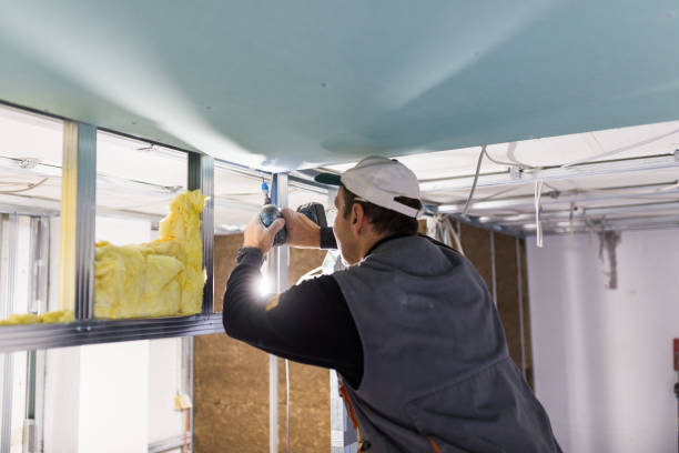 Best Blown-in Insulation  in Waynesville, MO