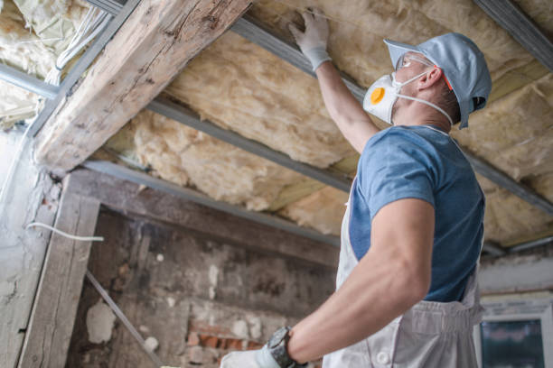 Best Home Insulation Services  in Waynesville, MO