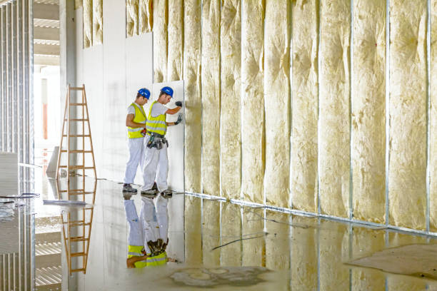 Best Spray Foam Insulation  in Waynesville, MO